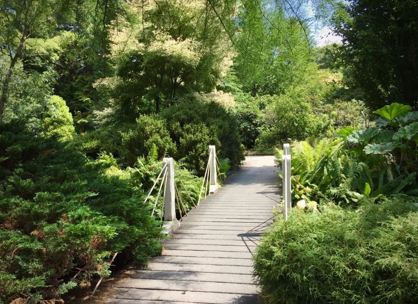 Arboretum Trompenburg, Netherlands